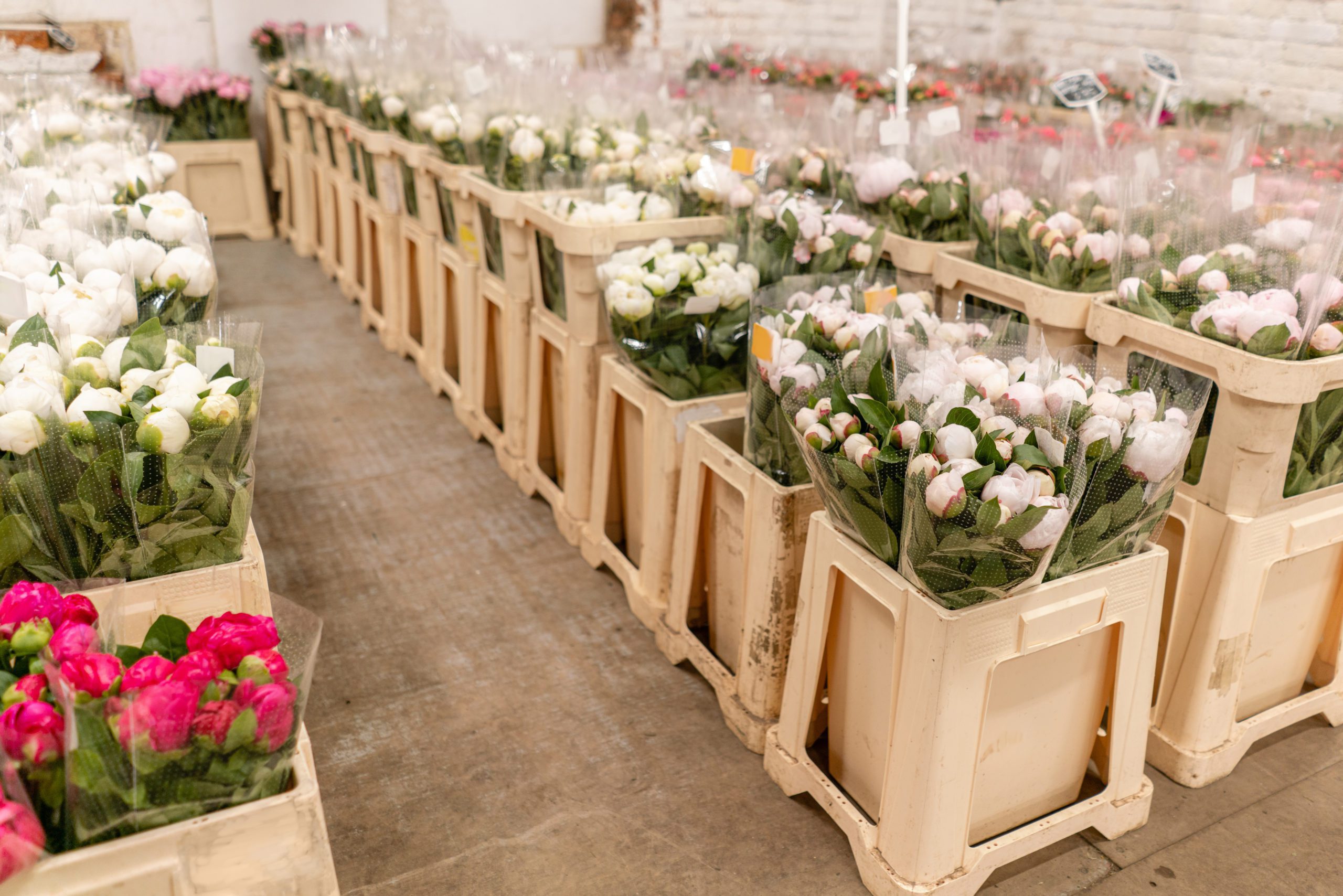 Floral Industry Factoring