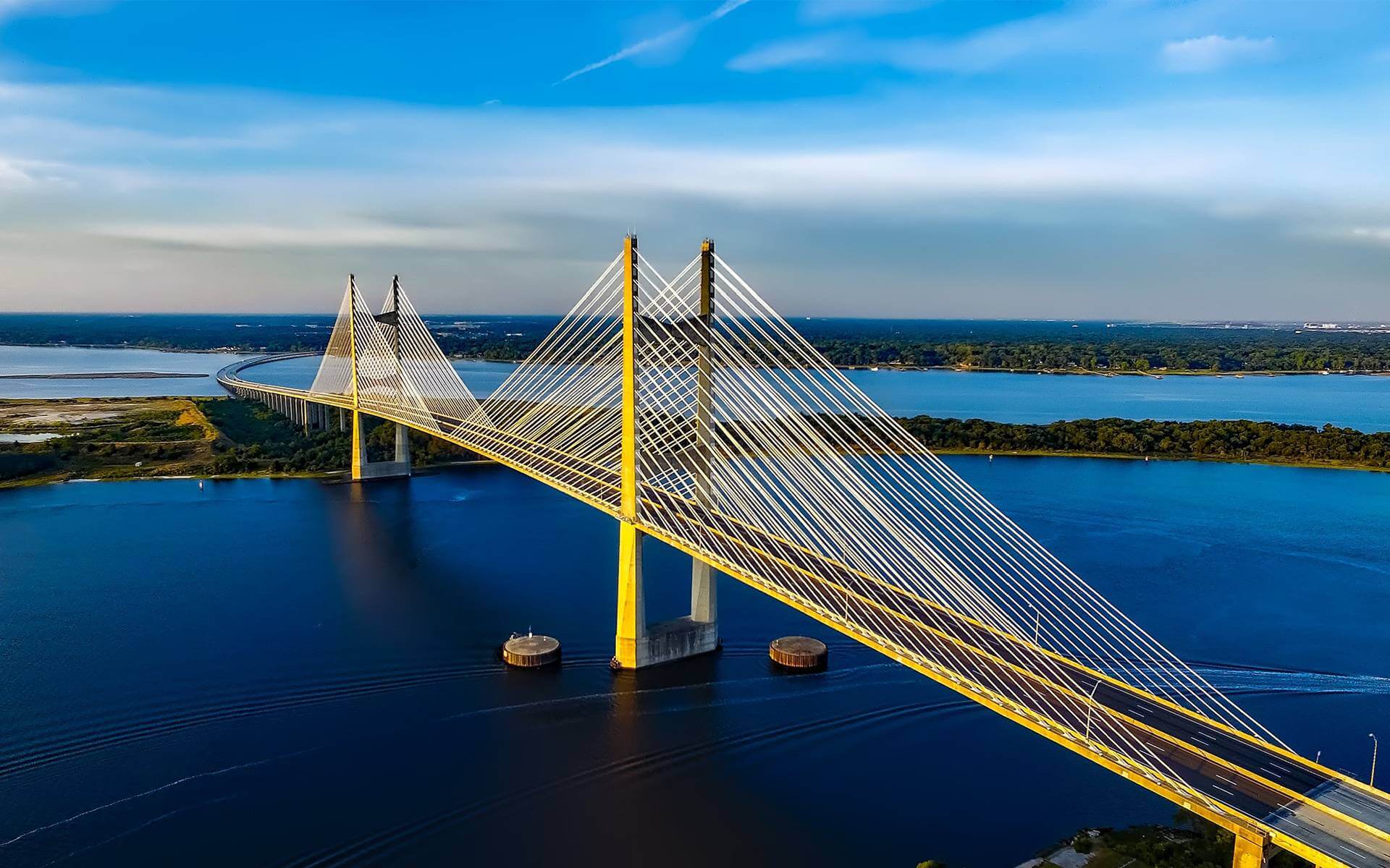 Cable-stayed bridge over wide blue river.