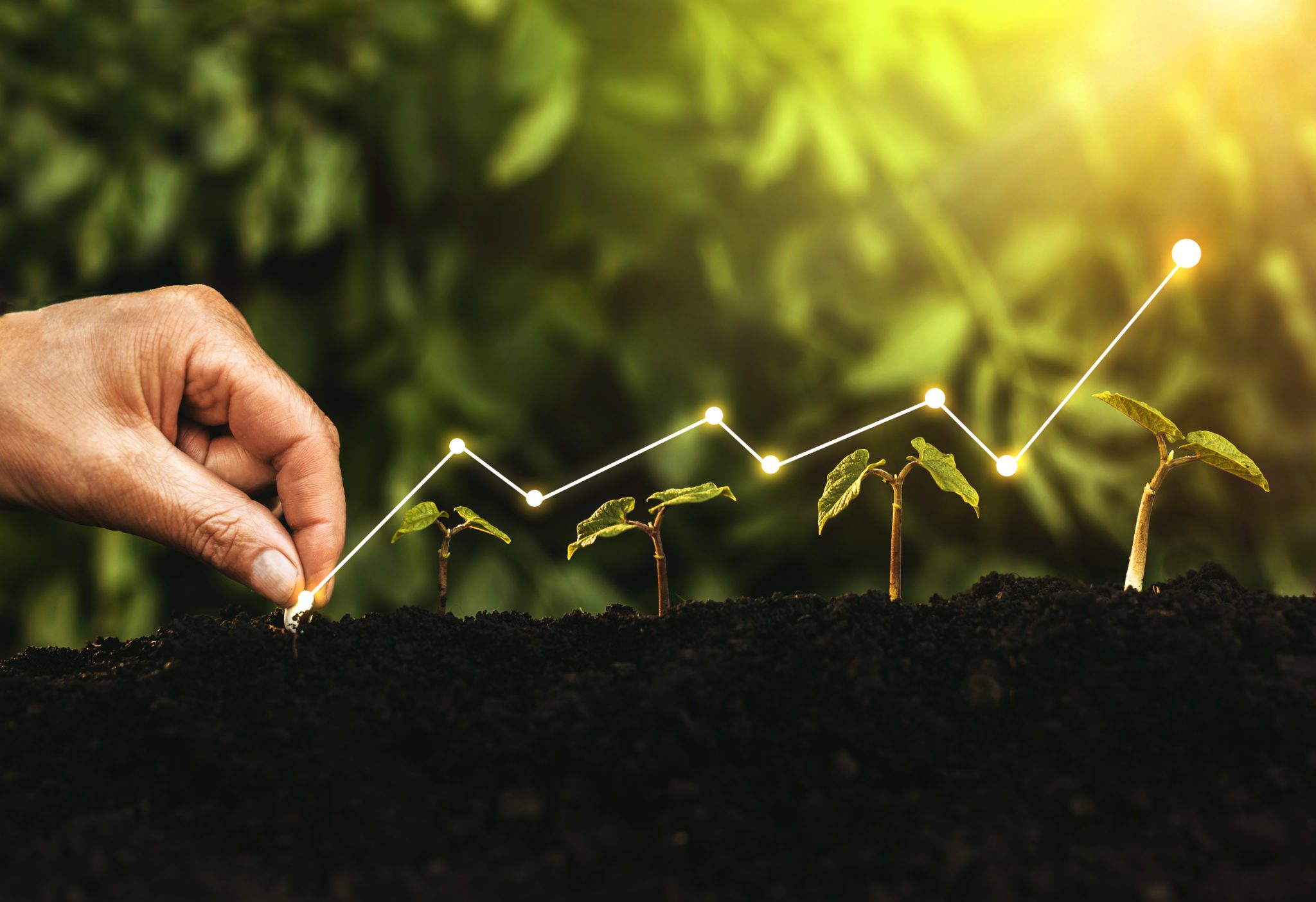 Tiered Factoring Pricing for Start-Ups