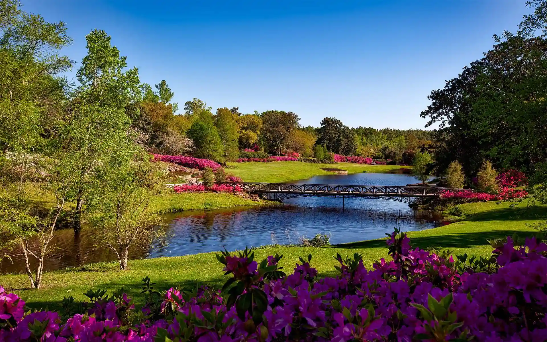 Bridge over pond in blooming garden park.